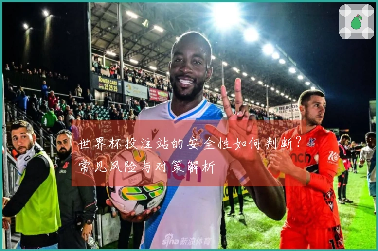 世界杯投注站的安全性如何判断？常见风险与对策解析