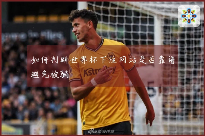 如何判断世界杯下注网站是否靠谱避免被骗